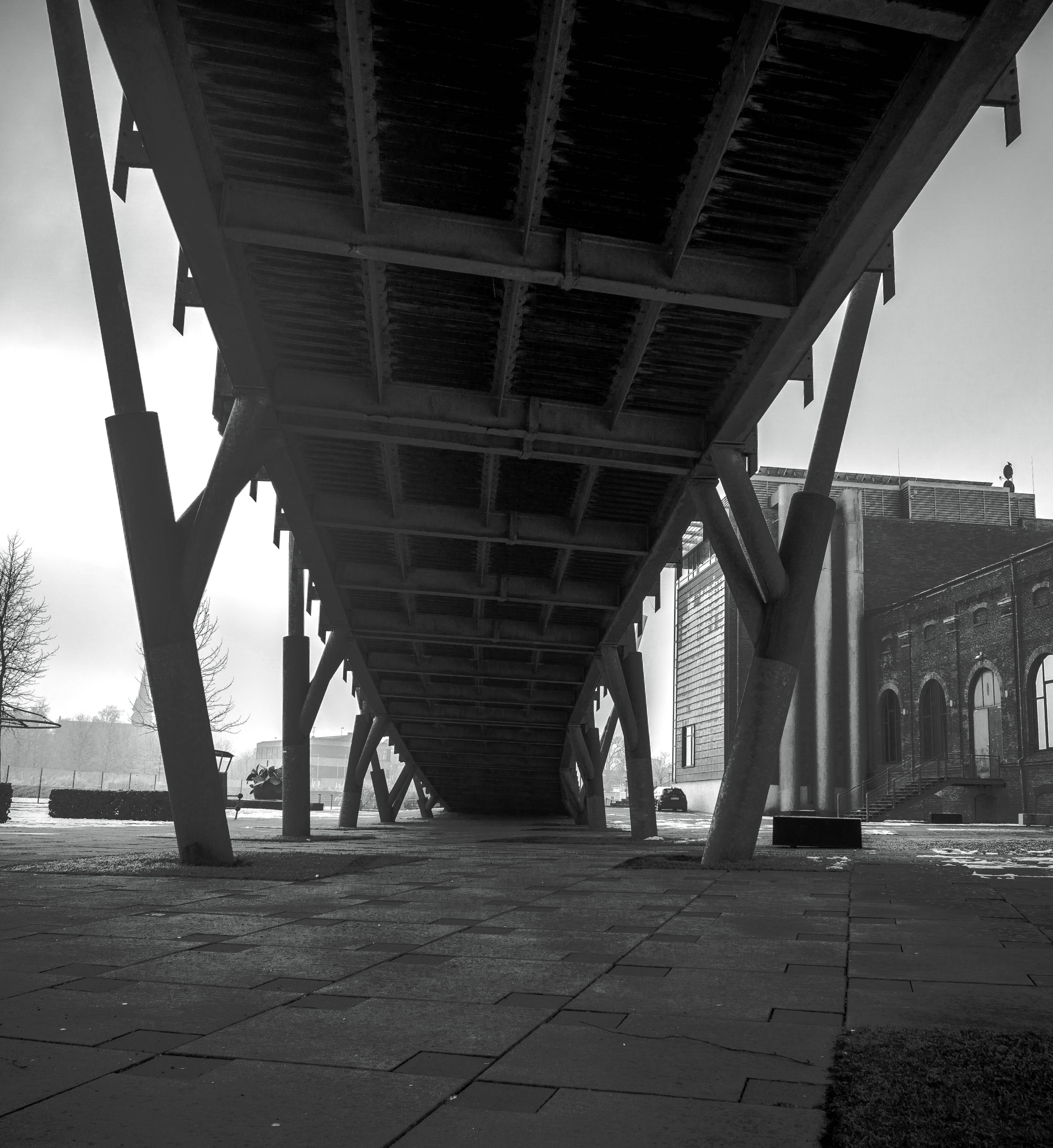 Winter photo 1