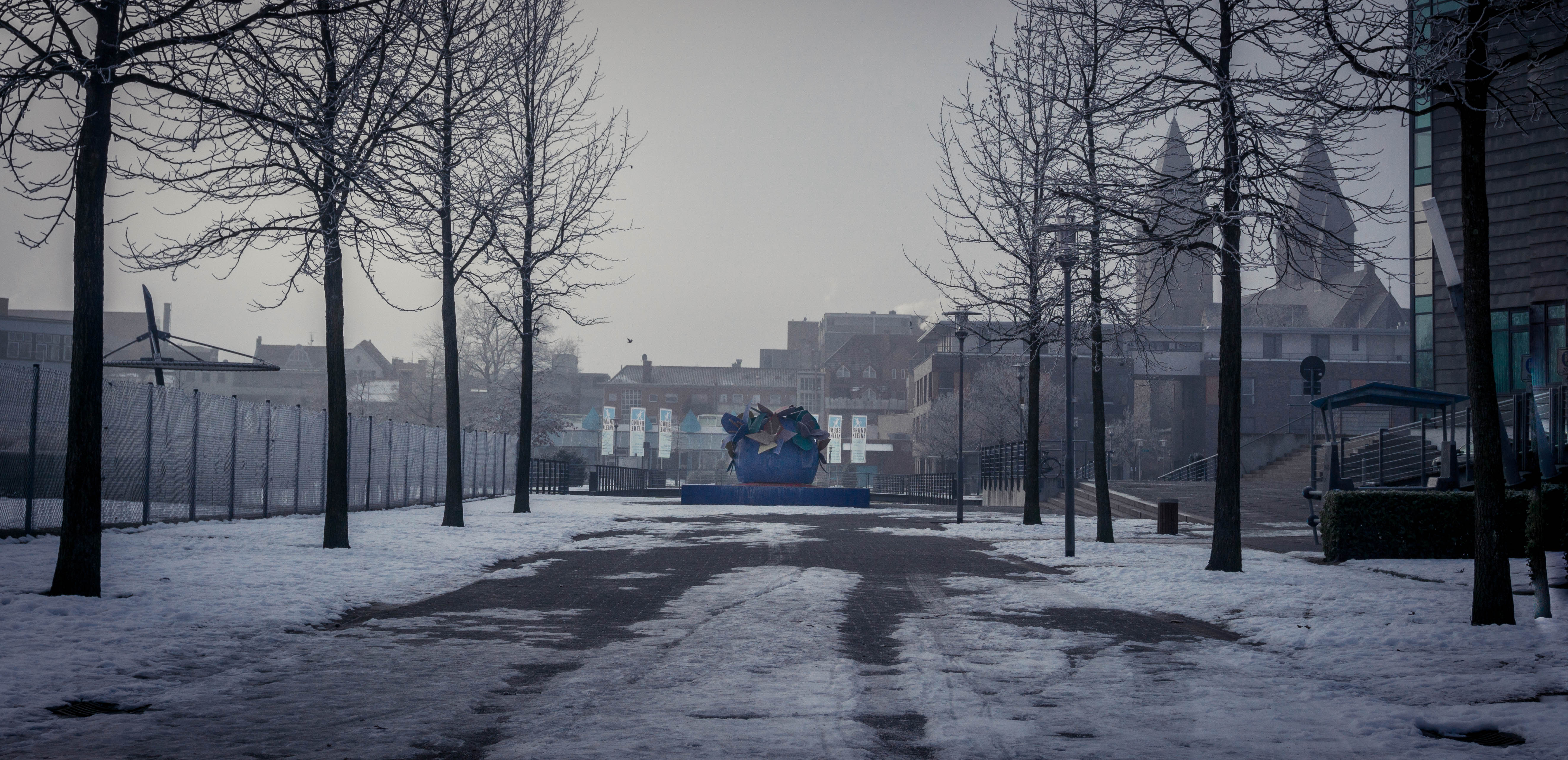 Winter photo 2