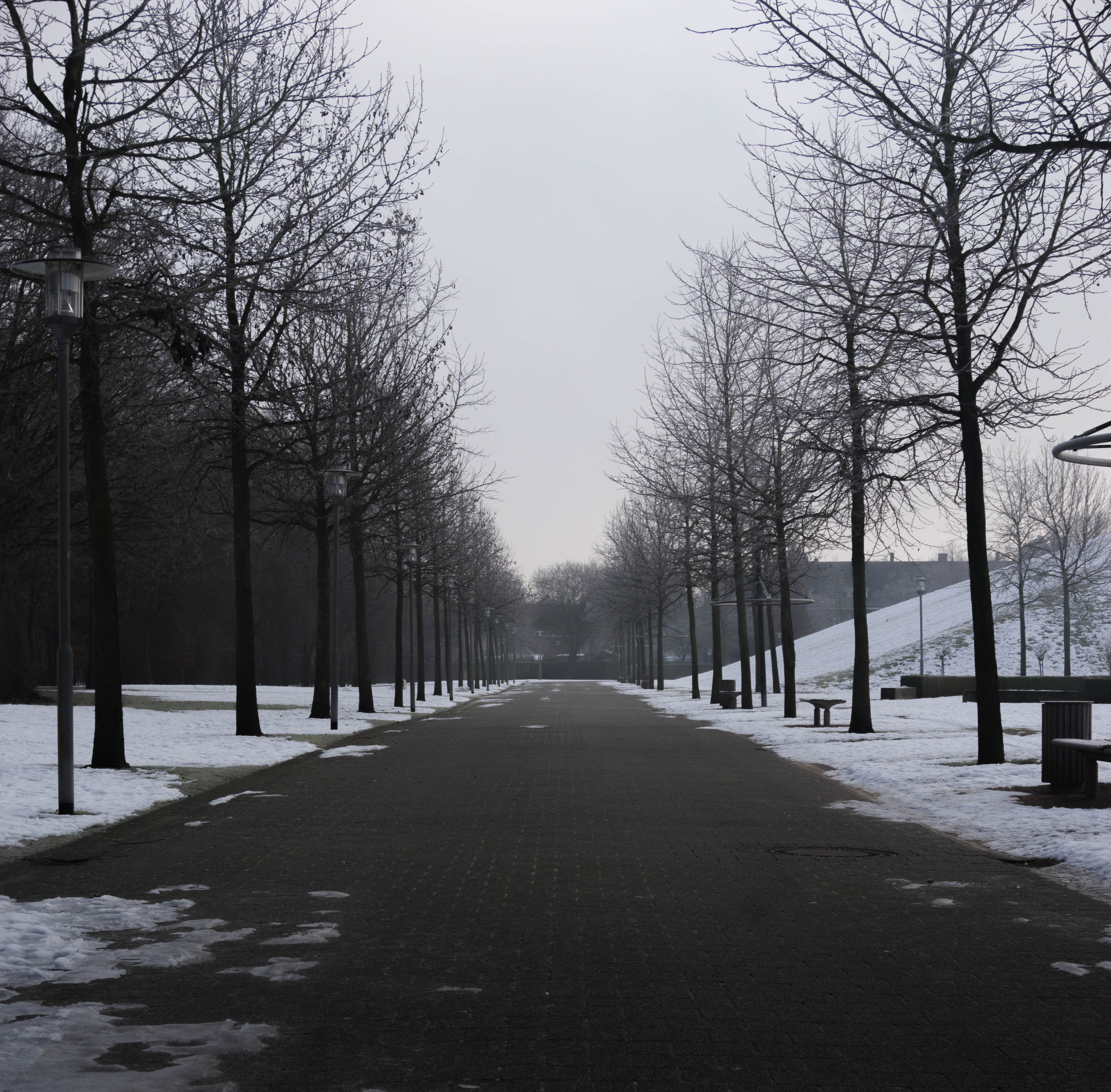 Winter photo 3