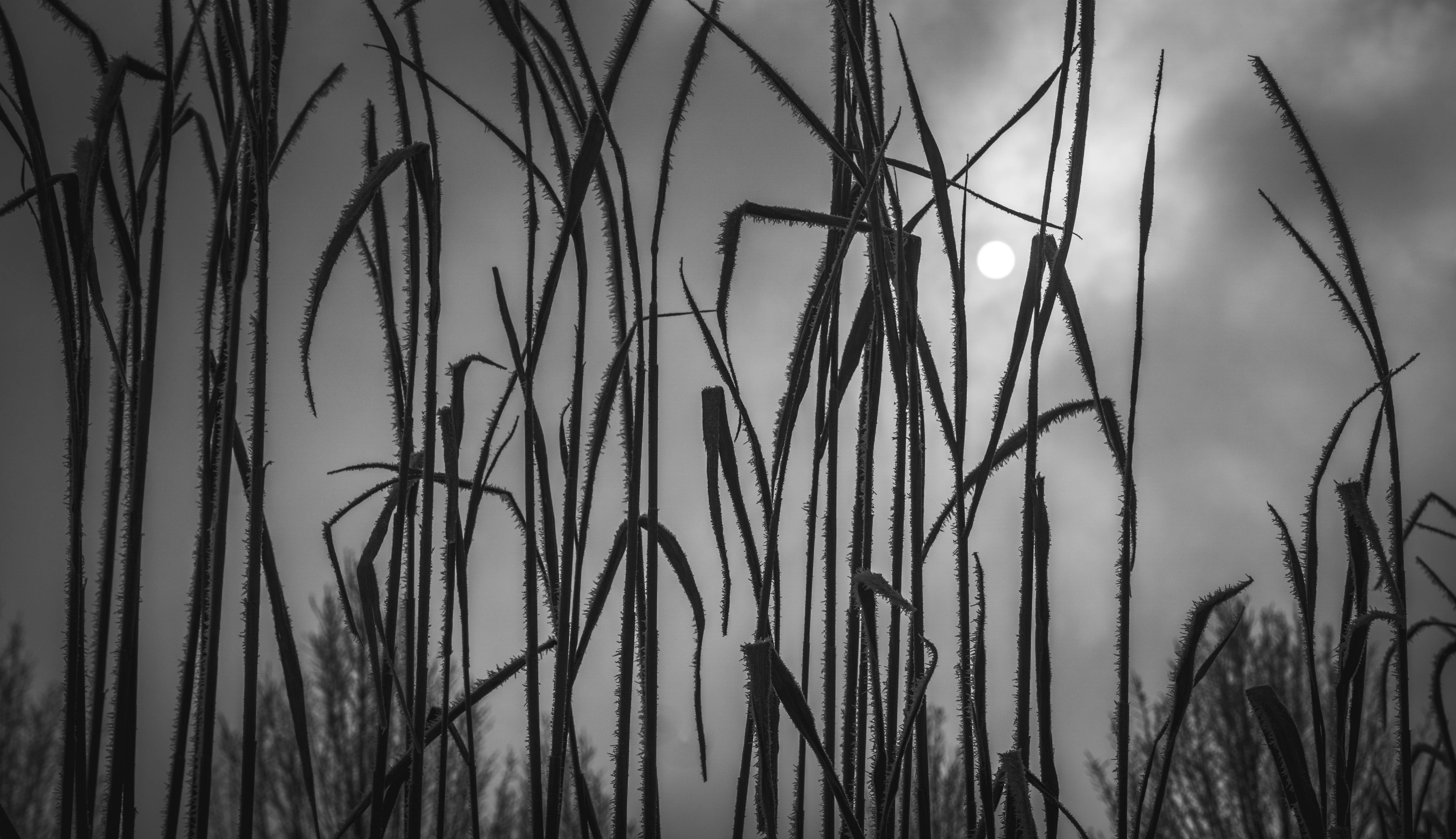 Winter photo 5