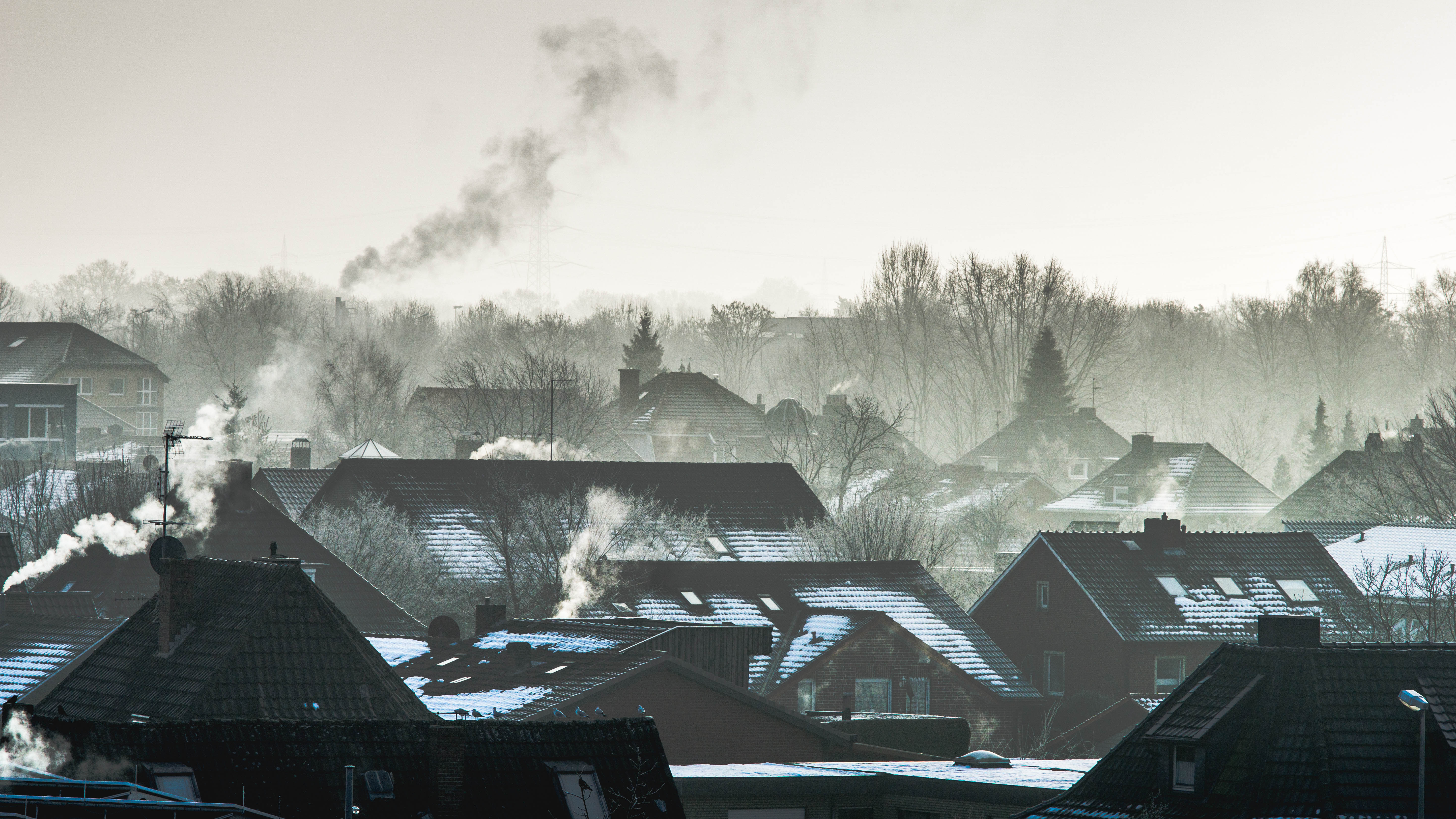 Winter photography series
